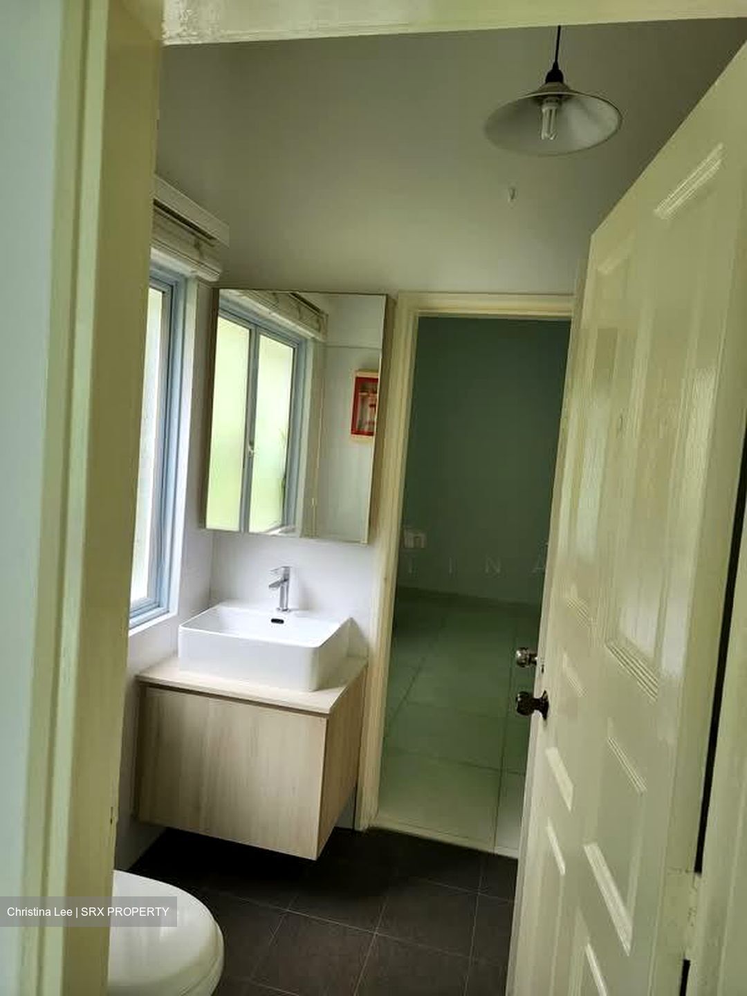 Raffles Park (D11), Detached #556796071